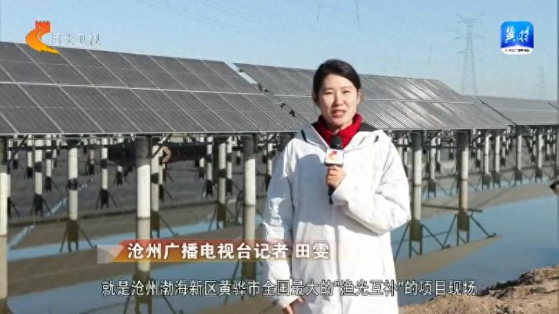 沧州惊现全球最大渔光互补项目，发电养鱼两不误，年发电量惊人