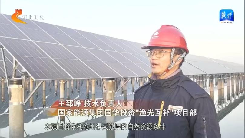 沧州惊现全球最大渔光互补项目，发电养鱼两不误，年发电量惊人  第2张