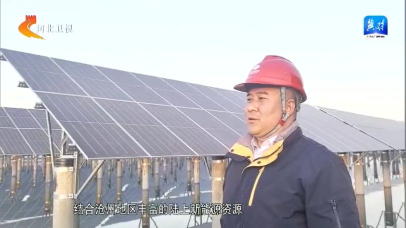 沧州惊现全球最大渔光互补项目，发电养鱼两不误，年发电量惊人  第3张