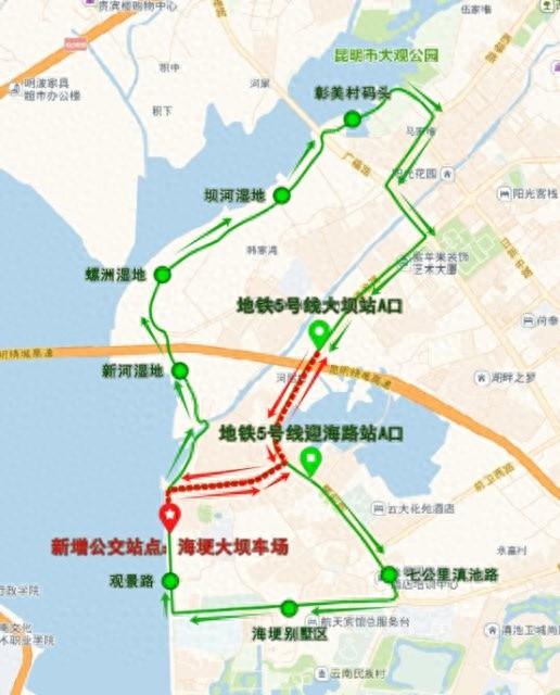 昆明公交升级免费观鸥专线，元旦寒假出行更便捷