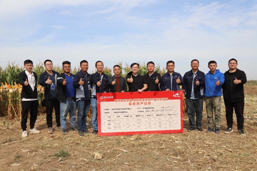 单产提升成果惊人！玉米丰收背后的秘密是什么？  第7张