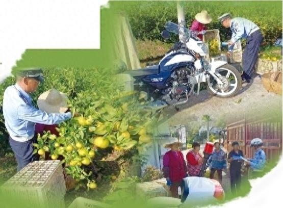 宜昌公安交警全力护航柑橘丰收季，守护果农致富路
