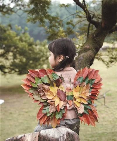 秋日限定浪漫！市区中山路栾树果挂满枝头，市民捡秋根本停不下来  第2张