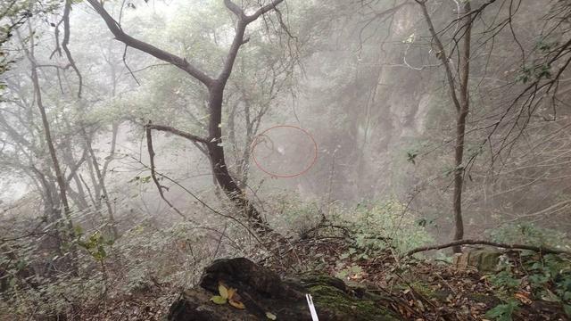 退休教授爬野山失联 2 天后坠崖身亡，背后真相令人痛心  第3张