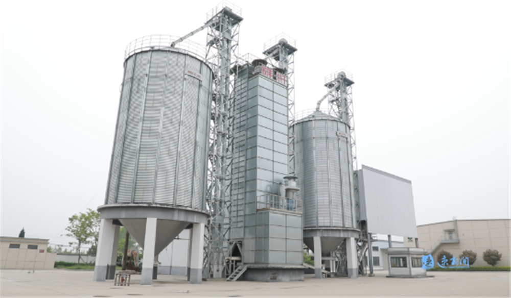 宿城区推进现代化粮食仓房建设，新增仓容 15.2 万吨，保障国家粮食安全  第3张