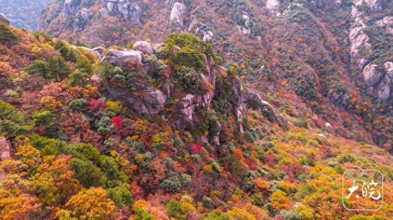错过再等一年！九华山花台景区秋景如油画，美到窒息  第1张
