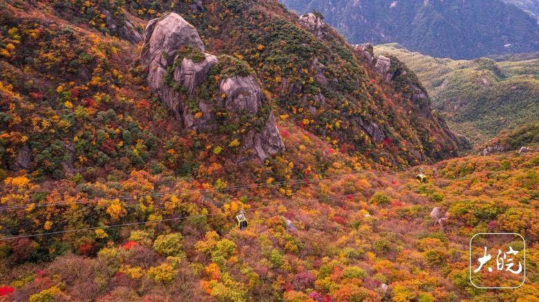 错过再等一年！九华山花台景区秋景如油画，美到窒息  第3张