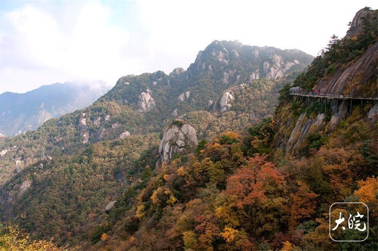 错过再等一年！九华山花台景区秋景如油画，美到窒息  第4张
