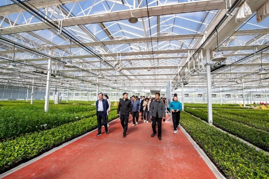 日照市第四届生态田园运动会盛大开幕，亮点多多  第10张
