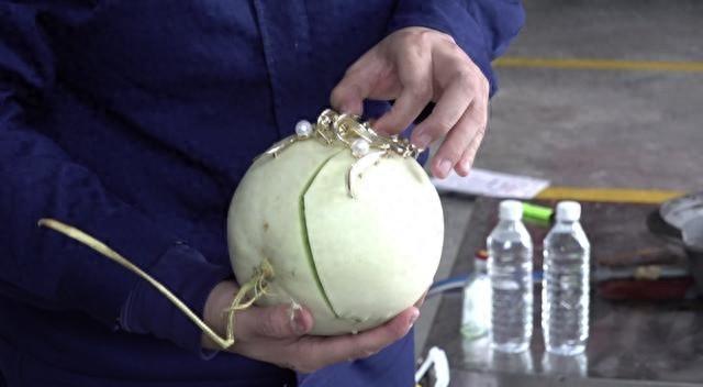 警惕！小小鲨鱼夹竟成伤人凶器，你还敢用吗？  第1张