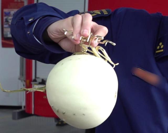 警惕！小小鲨鱼夹竟成伤人凶器，你还敢用吗？  第2张