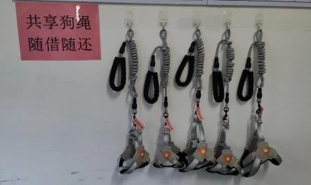 文明养犬百日整治行动，全力打造文明养犬新模式  第1张