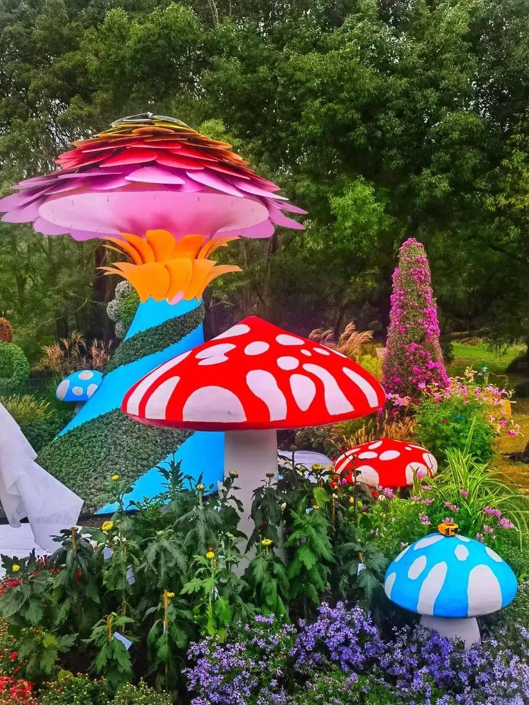2024 上海菊花展盛大开幕！18 万盆 500 多种菊花，共赴金秋盛宴  第7张