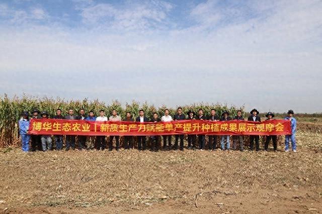 玉米单产提升超 40%！专家齐聚博兴见证奇迹，智慧农业助力乡村振兴