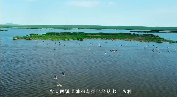 国货美妆斑小将：投身公益与社会关怀，推动生态文明发展  第2张
