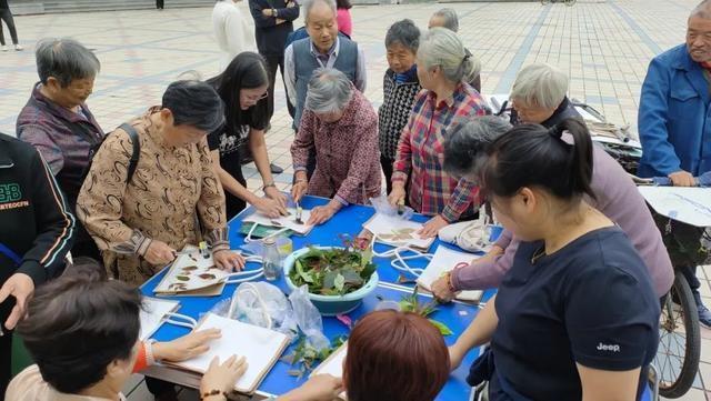 金海街道金水苑社区：打造绿色低碳社区，引领环保新潮流  第10张