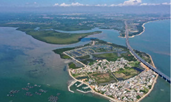 海口美兰区北港岛滨海湿地生物多样性竟如此丰富  第1张