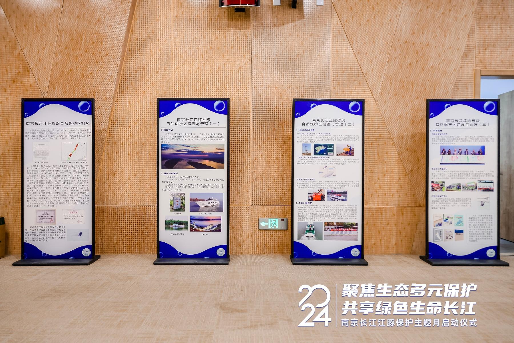 2024 年第六届南京长江江豚保护主题月活动启动，你还不来看看？  第6张