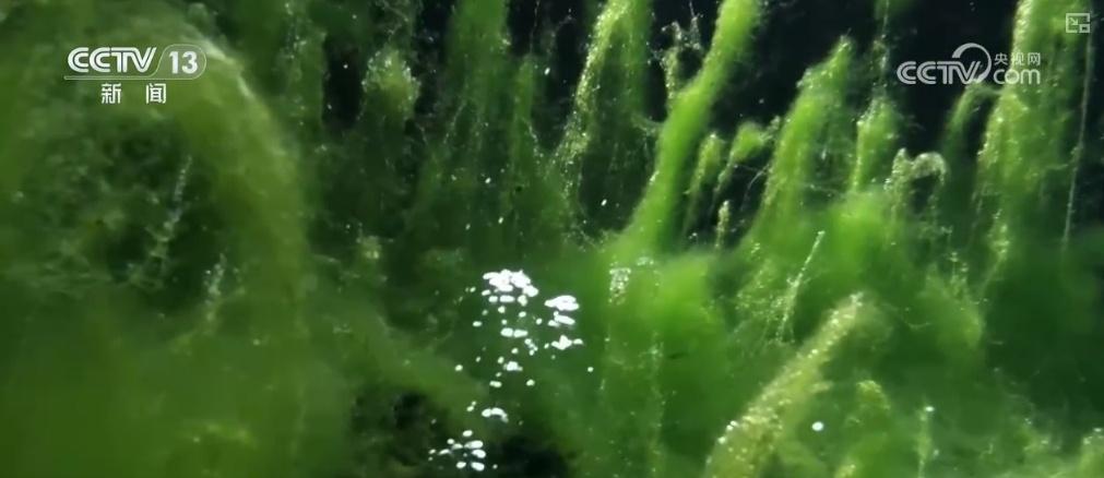 趵突泉，3500 年历史的奇迹！一湖一环绿道联通，古城大明湖无界融合  第4张