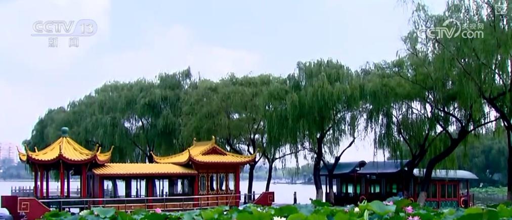 趵突泉，3500 年历史的奇迹！一湖一环绿道联通，古城大明湖无界融合  第9张
