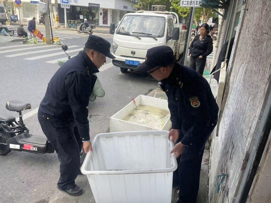 直击痛点！南浔区综合行政执法局大力整治城市交通秩序，塑造崭新城市管理风貌  第1张
