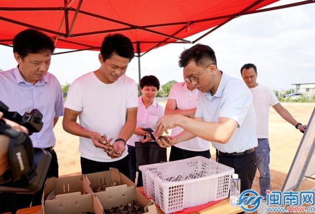 龙文区区长带队调研现代农业产业发展，强调要把资源优势转化为产业优势  第2张
