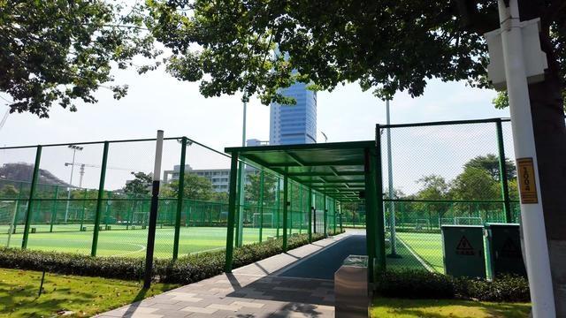 千灯湖体育公园：城市绿肺，市民运动的首选之地  第2张