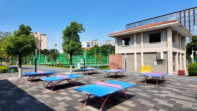 千灯湖体育公园：城市绿肺，市民运动的首选之地  第3张