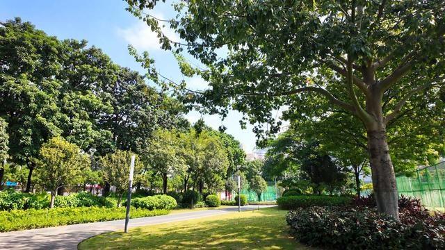 千灯湖体育公园：城市绿肺，市民运动的首选之地  第5张