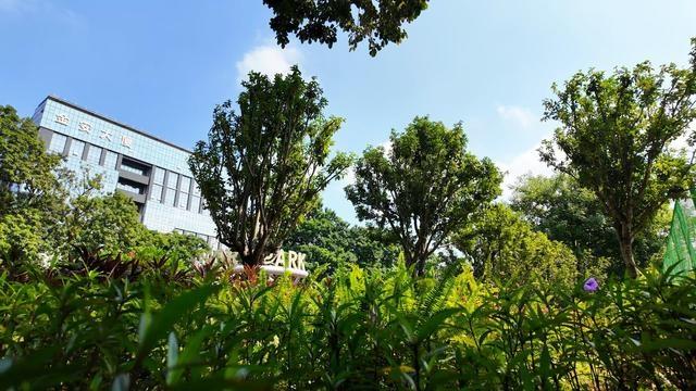 千灯湖体育公园：城市绿肺，市民运动的首选之地  第6张