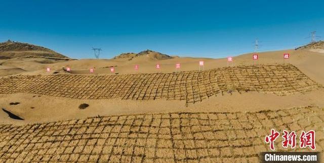 青海都兰县 2024 年荒漠化综合防治和三北工程正式开工，总投资超 9 亿  第2张