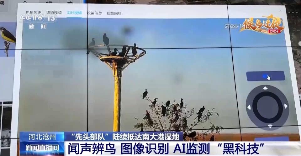 7500 公顷南大港湿地成候鸟迁徙重要驿站，你还不来看看吗？  第8张