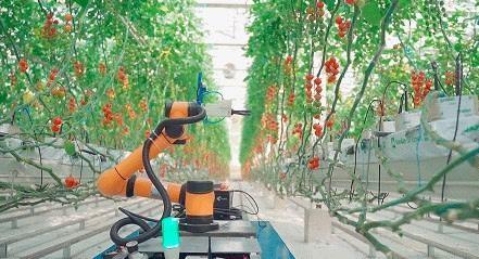 智慧农业来袭！海淀案例发布，这些设施农业技术太牛了  第3张