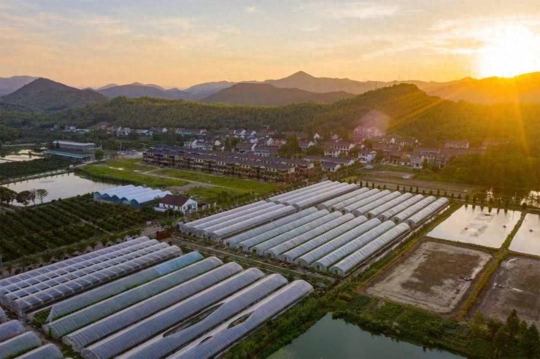 吴兴区道场乡这项工程，竟要打造 7 个用途分区  第1张