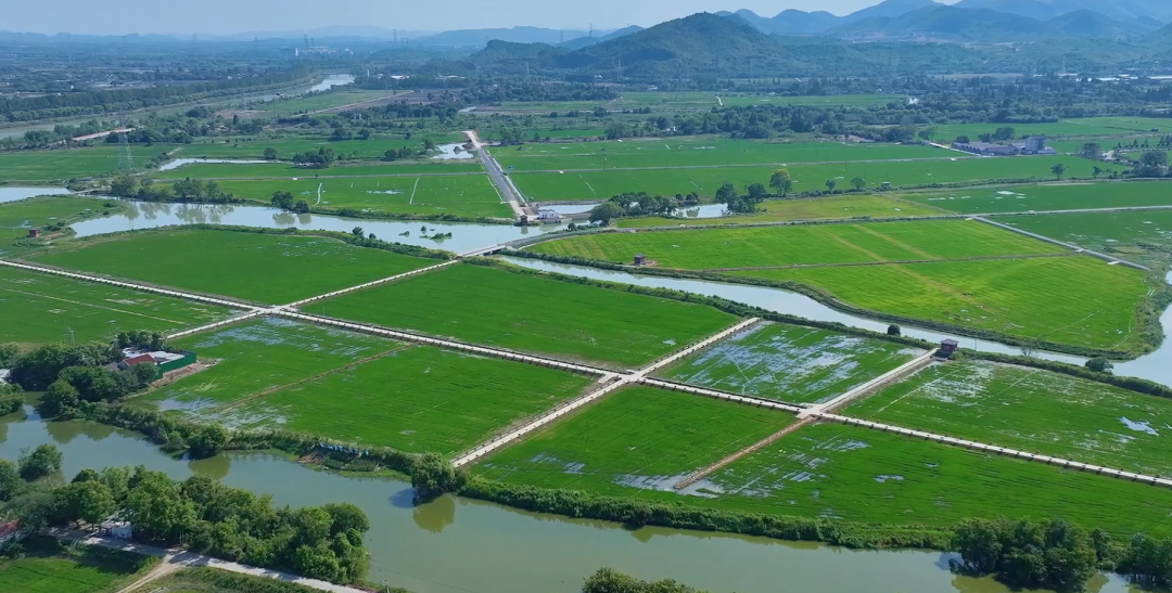 吴兴区道场乡这项工程，竟要打造 7 个用途分区  第2张