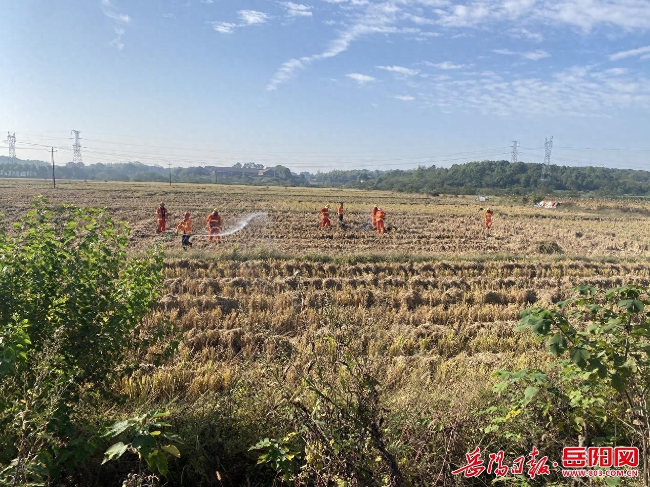 20 人组成的森林应急防火队，守护近万亩林地，他们是如何做到的？  第1张