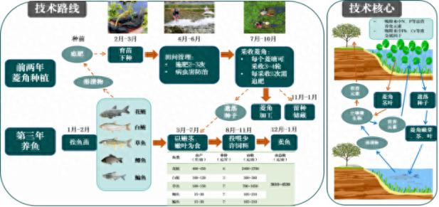这项技术竟让湖北乡村振兴大赛一等奖花落他家