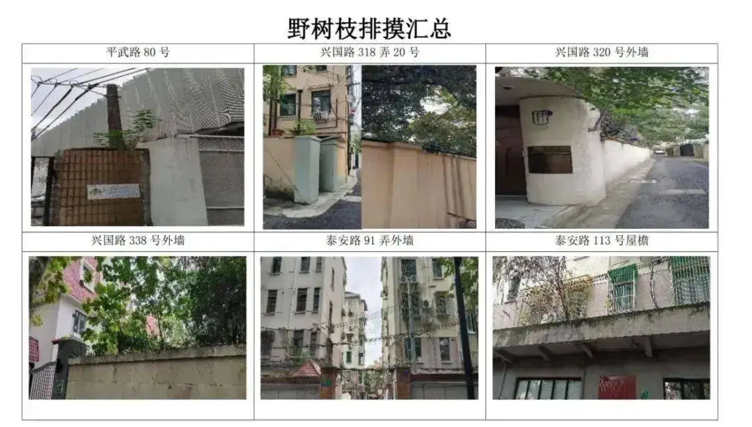 台风吹倒围墙，树根穿透墙壁：儿童乐园安全隐患如何解决？  第3张