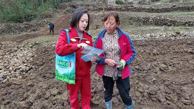 揭秘龙苍沟国家森林公园：森林如何变身为巨大的天然水库？  第3张