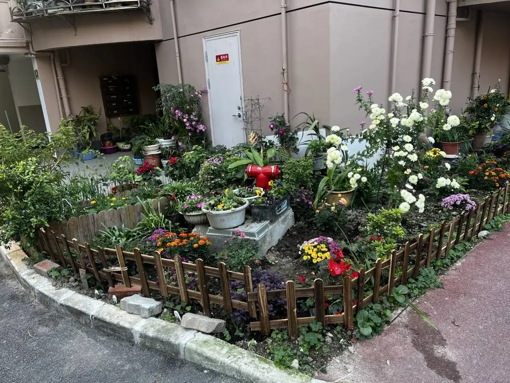 揭秘2024年社区花园生存法则：从浦东新区到长宁区的持续运作秘诀  第2张