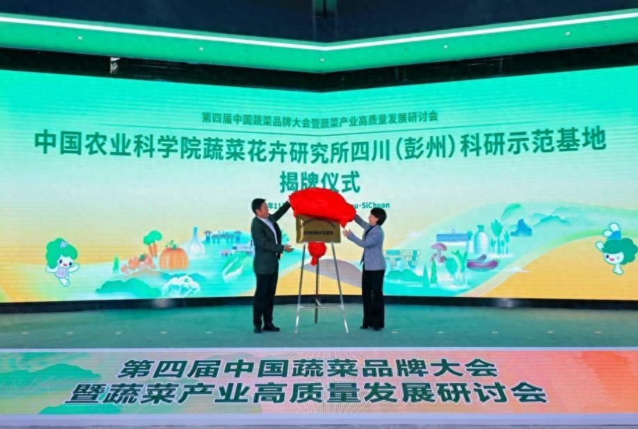 揭秘中国南方蔬菜新篇章：彭州科研示范基地如何引领农业科技创新