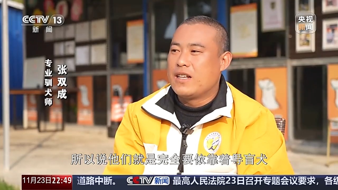 从活泼小猪到地铁指路向导：么么的导盲犬成长记  第4张