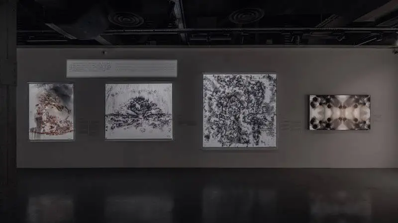 蔡国强AI艺术展：灵魂扫描，探索人工智能与灵性的交集  第9张