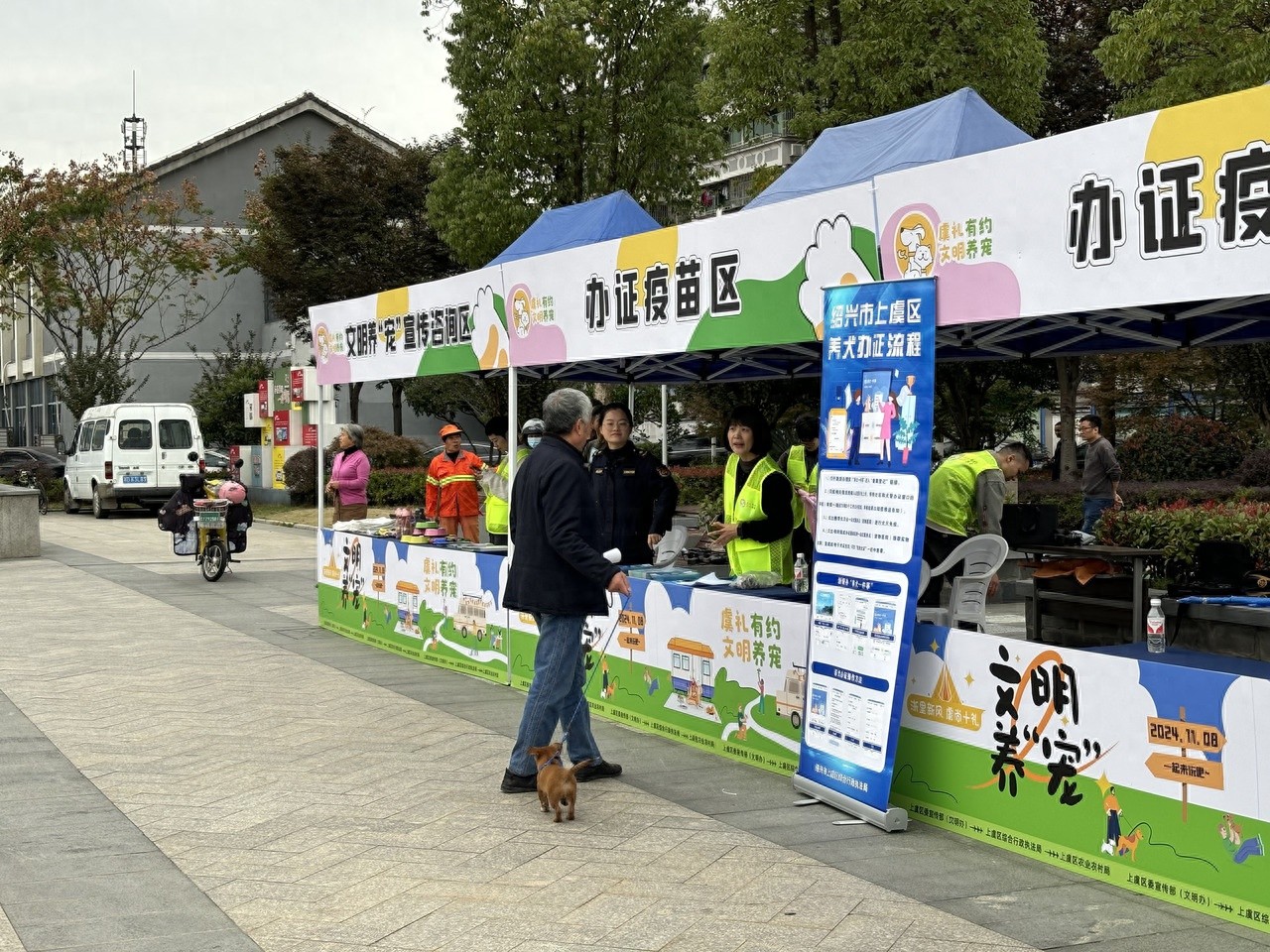 深入调查：流浪猫狗救助的困境与希望，600只小生命等待拯救