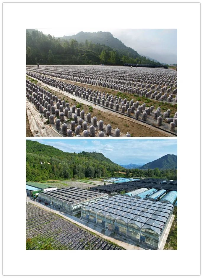 探秘两当县城市双修：红色传承与现代美学的完美融合，福寿桥点亮广香河两岸  第7张