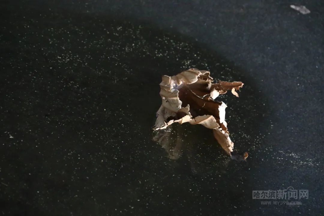 下周雨雪天气来袭，黑龙江高速交警发布出行提示，安全驾驶必备技巧大公开  第5张