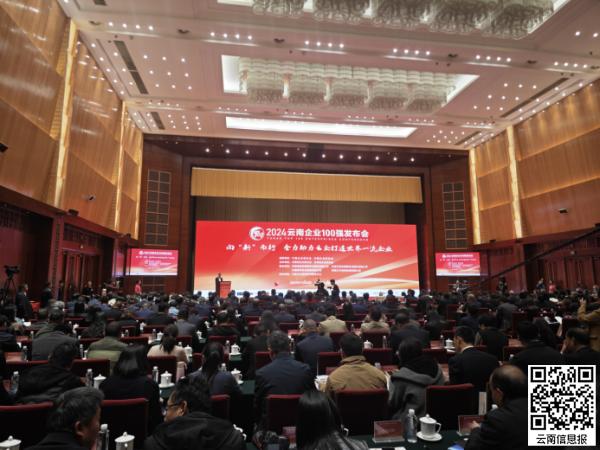 2024云南企业100强揭晓：助力云企迈向世界一流，谁将成为下一个巨头？  第2张