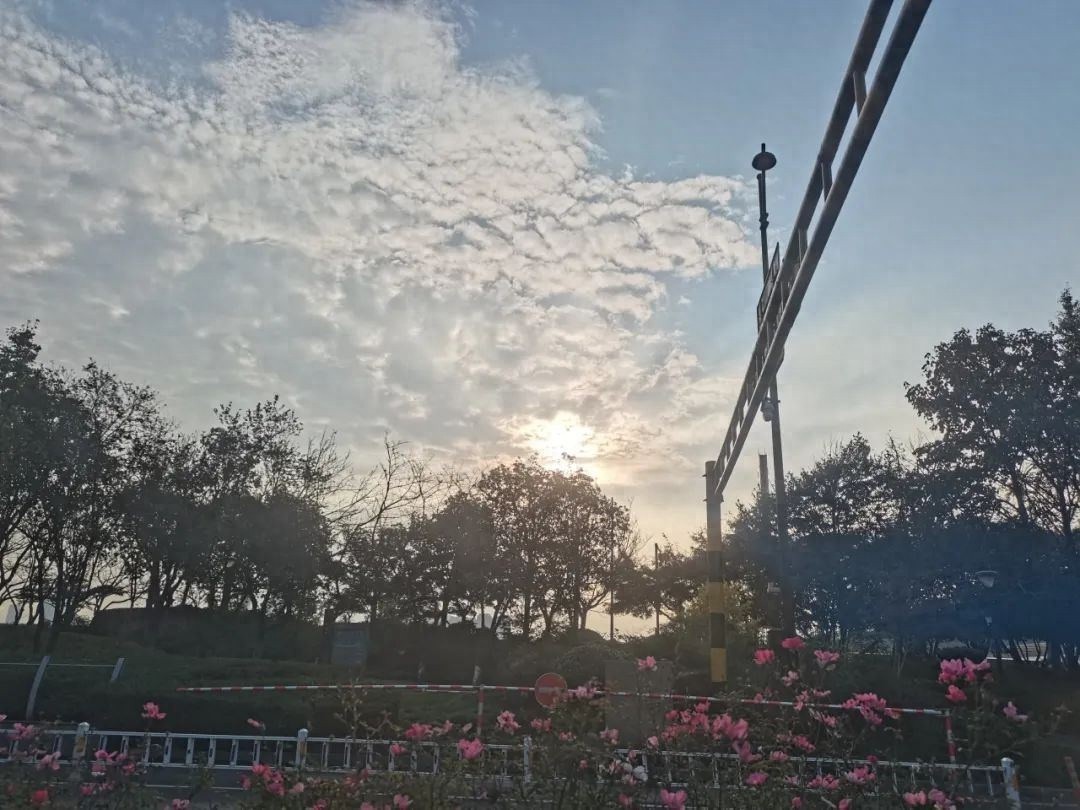 注意！今日暖阳舒服但今夜转小雨，冷空气来袭气温猛降  第1张