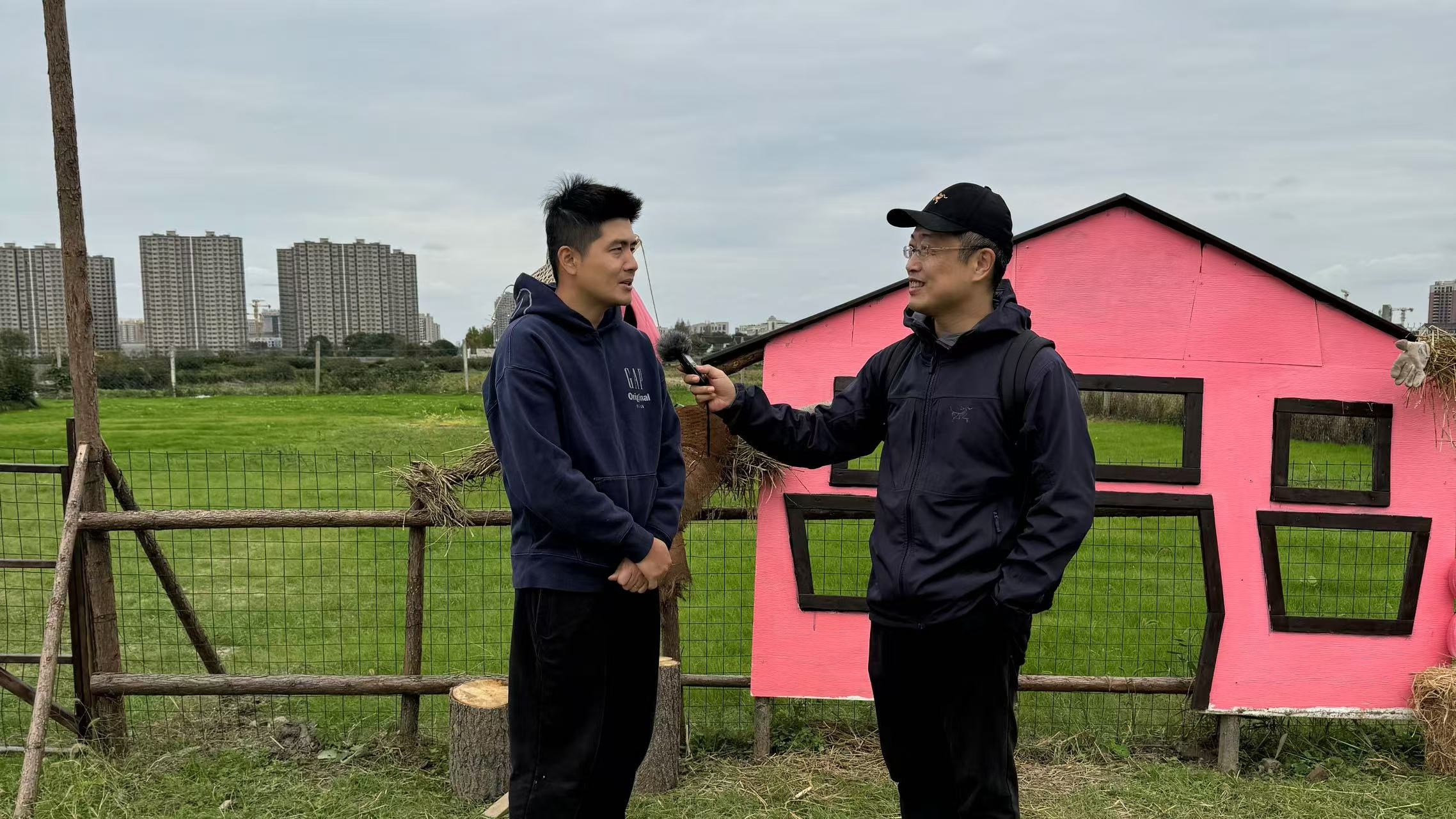 销声匿迹多年的共享菜园又在上海热起来，背后原因竟是这个？  第3张