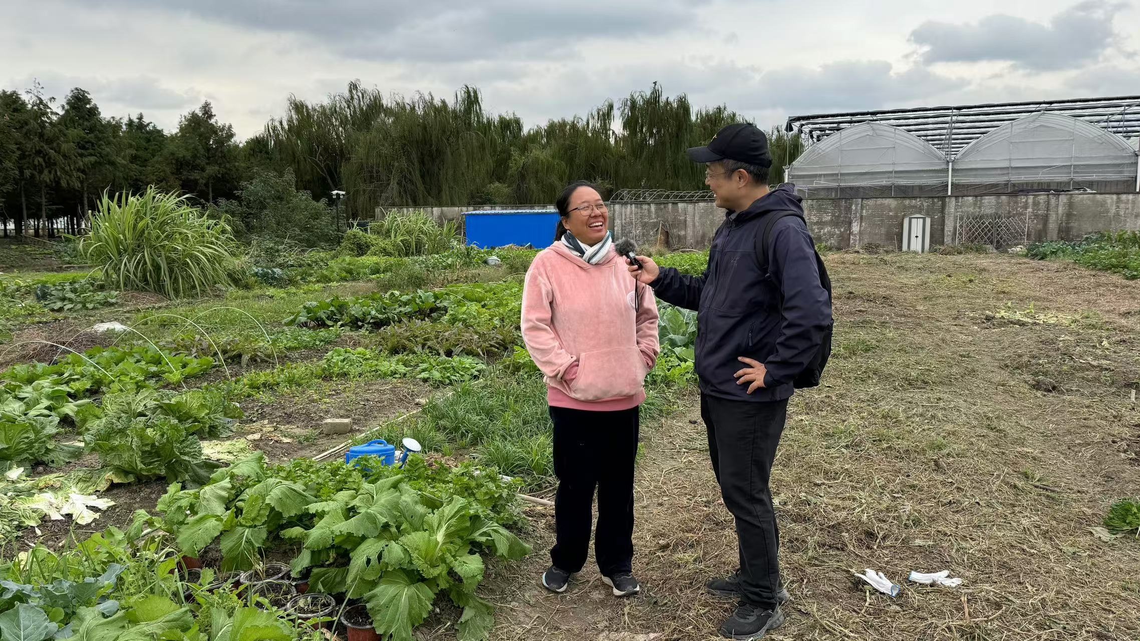 销声匿迹多年的共享菜园又在上海热起来，背后原因竟是这个？  第4张